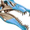 Das Bild zeigt eine digitale Darstellung des Schädels des Spinosaurus. Der vor 95 Millionen Jahren lebende Spinosaurus war der größte jemals lebende Raubsaurier. 