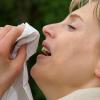 Bei 40 Prozent aller Betroffenen führt Heuschnupfen langfristig zu Asthma. 