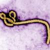 Im Kongo wurden den Behörden zufolge inzwischen knapp 200.000 Menschen gegen Ebola geimpft.