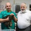 Nur schweren Herzens übergibt Dr. Wulf-Dietrich Kavasch (rechts) ab 8. Januar seine Kleintierpraxis in Hohenaltheim an seinen Nachfolger Dr. Peter Bober. Nicht immer hat Kavasch nur Kleintier behandelt: Er versorgte schon Lamas und untersuchte Alpakas. 