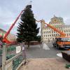 Am Montag wurde der weihnachtliche Baumschmuck von Mitarbeitern der Stadt eingelagert.  
