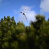 Der Mindelheimer Stadtrat hat sich einen Tag lang von sechs möglichen Investoren über Windkraft informieren lassen.
