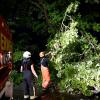 Die Feuerwehr musste an der Uferstraße zahlreiche umgestürzte Bäume beseitigen.