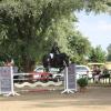 Eva-Maria Königsberger vom Reitclub Oberbeuren gewann das Schlussspringen beim Turnier in der Leuthau mit ihrem Pferd Piccolina S 2. Foto: Hieronymus Schneider