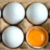 Die Eier von Bayern-Ei waren mit Salmonellen belastet.