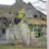 Der ehemalige Eiskeller auf dem Strehle-Anwesen in Balzhausen soll verschwinden – geplant ist auf der Fläche ein Gemeindehaus. 