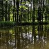 Im Juni 2012 wurde der Auwald bei Hygstetten – auf der anderen Seite der Donau liegt Peterswörth – bei Hochwasser natürlich geflutet. Dr. Christine Margraf vom Bund Naturschutz sagt, dass der Erhalt und die Wiederherstellung der Auen an Flüssen mit die beste Alternative zu Flutpoldern sind. 