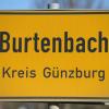 In Burtenbach standen plötzlich Rinder im Bereich der Umgehungsstraße. 