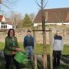 Die Wertinger Grünen haben im Stadtpark eine Linde gepflanzt. 	