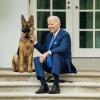 US-Präsident Joe Biden sitzt mit seinem Hund auf den Stufen vor dem Weißen Haus.