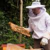 Stephan Häring, Hobbyimker aus Schwabmünchen, hat für zwei seiner Bienenvölker neben einer Anlage von Schwaben Netz in Langerringen ein neues Zuhause gefunden.  	