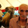 Circus-Chef kämpft mit Artisten und Tieren um die Existenz