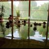 Die Klangschalenmeditation im Wasser, die es heuer zum ersten Mal in der Naturtherme Bedernau gab, war sehr beliebt. 