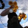 Der Bierpreis soll auf dem Oktoberfest nicht mehr weiter steigen. Münchens zweiter Bürgermeister will den Preis für die Maß Bier auf der Wiesn deckeln.