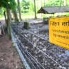 Im Wildgehege am Stadtrand von Ravensburg ist das Füttern von Wildschweinen verboten.