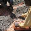  Das von Amnesty International zur Verfügung gestellte Bild zeigt Kinder, die Steine sortieren, die Kobalt enthalten.