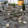 Bäume Natur Bienenfreundlich Kreisverkehr in Ingolstadt als Vorbild