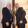 Bundespräsident Frank-Walter Steinmeier muss vor allem SPD-Chef Martin Schulz davon überzeugen, über eine Große Koalition zu verhandeln.