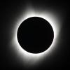Totale Sonnenfinsternis 2017: Der Mond verdeckt in der Nähe von Redmond im US-Bundesstaat Oregon vollständig die Sonne.