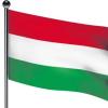 Eine ungarische Flagge.