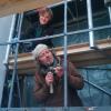 Hanna Pohle und Sebastian Weiss bereiten gerade das Einsetzen der historischen Kirchenfenster am Chor der Dettenschwanger Pfarrkirche vor.