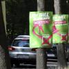 Die großen Parteien haben bereits für die Landtagswahlen plakatiert. Unser Foto entstand an der Berliner Allee, wo jeder Baum zum „Plakatständer“ umfunktioniert wurde. 