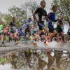 Schmuddelwetter begleitete die Läufer beim Halbmarathon im Augsburger Siebentischwald. 	