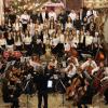 Mehr als 150 Musiker spielten beim Weihnachtskonzert des Albrecht-Ernst-Gymnasiums Oettingen. 