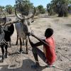Ein Junge legt einen Pflug an, den er und seine Familie von der Organisation Welthungerhilfe bekommen haben. Im Südsudan hat sich die Zahl der Hungernden stark erhöht. 

