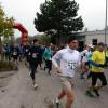 Lionslauf 2014 von Eichstätt nach Neuburg