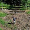 Pfarrer Stefan Reichenbacher auf dem Waldstück in Reutti, wo der Bauwagen für den ersten Neu-Ulmer Waldkindergarten aufgestellt wird.