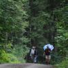 Trotz Regens ließen sich diese Teilnehmer der Aystetter Waldwandertage nicht von der Teilnahme am Zehn-Kilometer-Lauf abhalten. 
