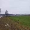 Sollte es zum Bau eines Radwegs von Wattenweiler nach Wiesenbach kommen, so wird die Trasse auf Wattenweiler Flur entlang der Staatsstraße führen. 