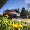 Entlang bayerischer Straßen soll künftig mehr blühen als nur Löwenzahn: Das Verkehrsministerium hat ein Pilotprojekt namens „Bienen-Highway“ initiiert.