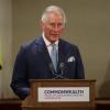 Die 53 Regierungschefs der Commonwealth-Staaten haben am Freitag den britischen Thronfolger Prinz Charles als neues Oberhaupt bestimmt. Noch amtiert jedoch die Queen.
