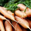 Karotten enthalten viel Vitamin A. Ein Überblick.