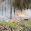 Spaziergänger und Piloten von Segelflugzeugen entdeckten am Samstag mehrere kleine Flammennester im Waöld nahe der Parkstadt. Die Feuerwehr konnte rasch löschen. Symbolfoto: Julian Stratenschulte