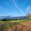 Zwei weitere Solarparks, wie diesen am Ortsausgang von Sielenbach Richtung Klingen, planen die Energiebauern in Sielenbach. Im Gemeinderat ging es um Details der Planung.