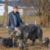 Landwirt Manfred Vogl hält auf seinem Hof in Pessenburgheim Cornwall-Schweine.