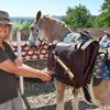 Tina Boche legt Bueno, einem Argentinischem Ranchpferd, den Packsattel an. Auf ihrer Säumer-Akademie in Markt bildet sie Mensch und Tier aus.
