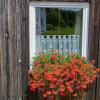 Während der Sommermonate fängt unser Fotograf Peter Fastl Impressionen aus den kleineren Orten und einigen Friedberger Stadtteilen ein. Bei seinen Rundgängen hat er auch Menschen getroffen, die in Schmiechen ihre Heimat gefunden haben.