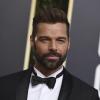 Familienzuwachs bei Ricky Martin: Der Sänger ist vor kurzem zum vierten Mal Vater geworden. Söhnchen Renn kam mit einer Leihmutter zur Welt.