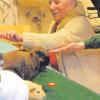 Die Streicheltherapie mit Haustieren, wie hier im Neuburger Geriatriezentrum, ist einer der Behandlungsformen, die bei Patienten zum Erfolg führen soll.    