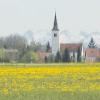 Wie aus dem Bilderbuch liegt die Pfarrkirche in Unterrieden zwischen einer blühenden Wiese und dem Alpenpanorama. Zwar ist die Natur derzeit noch nicht so weit wie auf unserem Archivbild, aber die Kirche mit ihrem ungewöhnlichen Spitzhelmdach ist dennoch das ganze Jahr über ein Blickfang. 