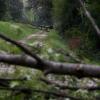 Umgestürzte Bäume, wie hier am Lech bei Meitingen, finden sich am Tag nach dem Unwetter an vielen Orten im Landkreis.
