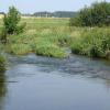 57 Kilometer Natur pur – die Kammel ist ein belebendes Element von ihrer Quelle bei Erisried (Landkreis Unterallgäu) bis zur Mündung in die Mindel bei Offingen. Allerdings macht der Fluss jetzt Sorgen, denn der Fischbestand geht ebenso zurück wie die Edel- und Steinkrebse. 
