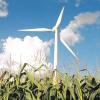 Windenergie und Landwirtschaft – einen Vortrag dazu organisiert der Maschinenring.  
