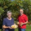 Vergnügen im Spätsommer: Sylvia und Johann Reiter ernten Äpfel in ihrer Kleingartenanlage Alpenblick Mitte in Haunstetten.