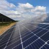 Eine rund 50 Hektar große Solaranlage soll in Amerdingen gebaut werden.