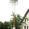 Diesen Maibaum stellte Daniel Schubert aus Höchstädt seiner Freundin Melanie Remmele aus Mörslingen.